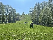 image-28-04-25-03-20-5__